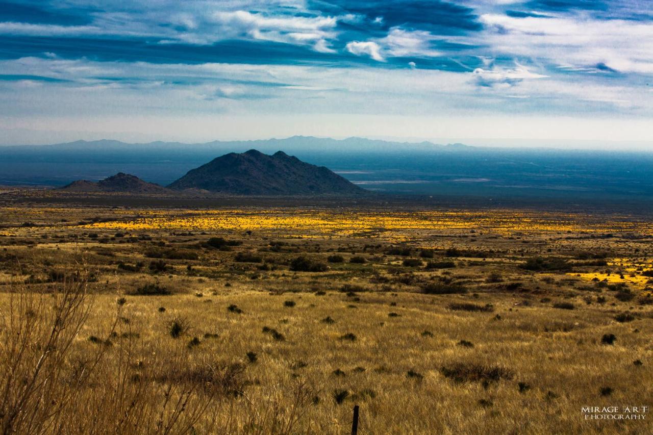 The Perfect Place . . . Here It Is! Las Cruces Buitenkant foto